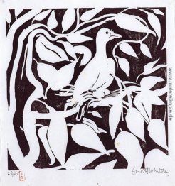 Fruit Dove Fruit Dove