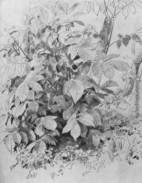 Junge Ernte von Nüssen