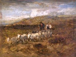 Welsh Shepherds