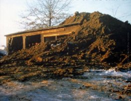 Partially Buried Woodshed