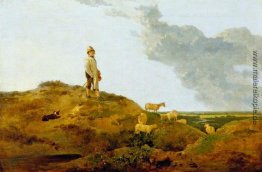 Sehen Sie auf Mousehold Heath, in der Nähe von Norwich