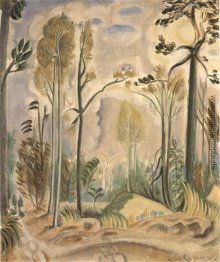 Landschaft Landschaft