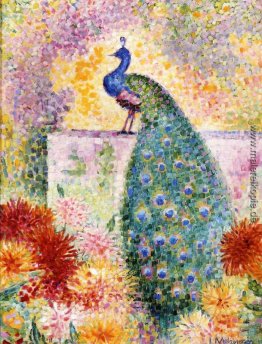 Ein Pfau