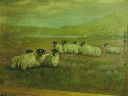 Schafe auf dem Gebiet