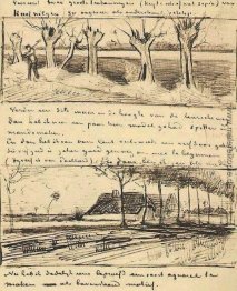 Straße mit Pollard-Weiden Straße mit Pollard-Weiden