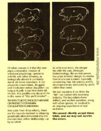 Schweinefleisch 10 Schweinefleisch 10