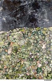 Ich lebe in einem Land, lachen Ich lebe in einem Land, lachen