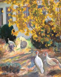 Truthähne Truthähne