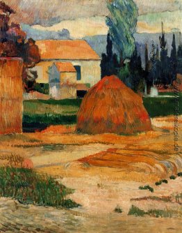 Landschaft in der Nähe von Arles