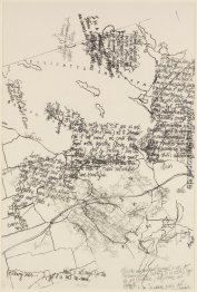 Mushroom Buch-Platte X Mushroom Buch-Platte X