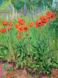 Poppies