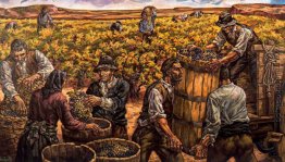 Weinlese in Ribera del Duero