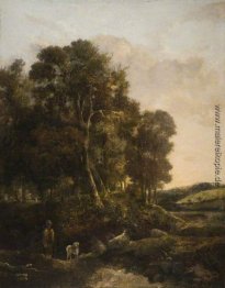 Der Weg durch den Wald