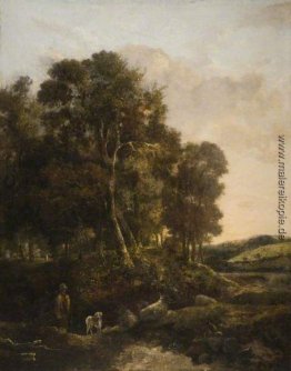 Der Weg durch den Wald