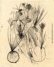 Planta tuberosa Planta tuberosa