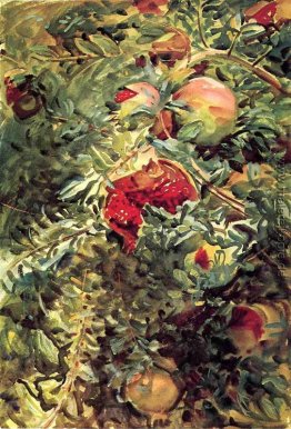 Granatäpfel