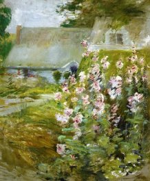 Stockrosen Stockrosen