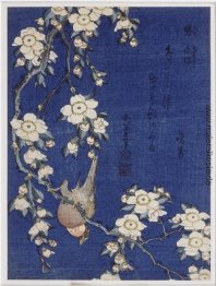 Gimpel und Trauer Kirschblüten Gimpel und Trauer Kirschblüten