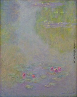Wasserlilien