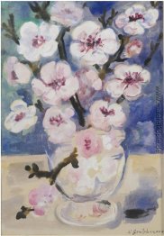 Hartriegel-Blüten Hartriegel-Blüten