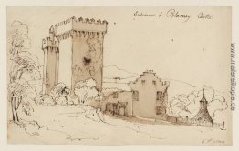 Eingang zum Schloss Blarney