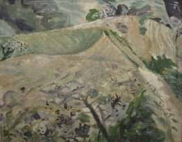 Hills in Poiana Mărului