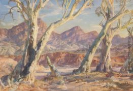 Flinders Ranges Landschaft