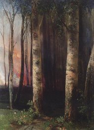 Feuer im Wald Feuer im Wald
