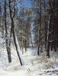 Winter in einem Wald (Rime)
