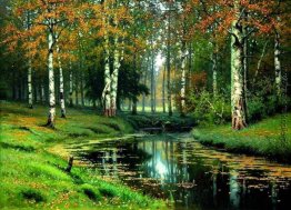 Ruhige Fluss