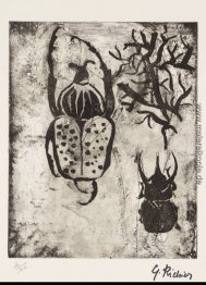 Beetles