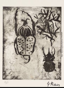 Beetles