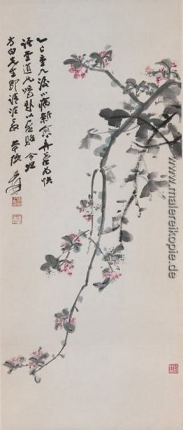 Crabapple Blüten