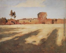 Feld nach der Ernte.