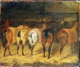 Fünf Pferde von hinten in einer stabilen gesehen mit croupes