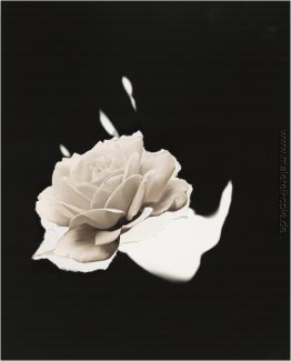 Ohne Titel