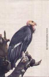 Unbekannter Titel Unbekannter Titel