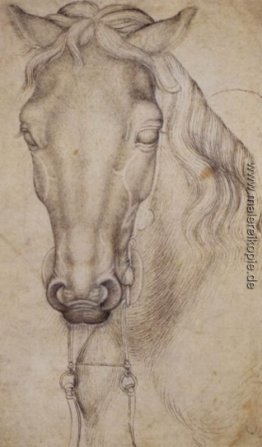 Studium der Kopf eines Pferdes