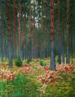 Landschaft mit Farnen
