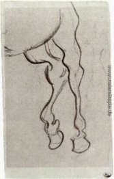 Hinterbeinen eines Pferdes Hinterbeinen eines Pferdes