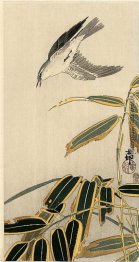 Wheater und Bambus Wheater und Bambus