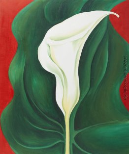 Einzel Calla-Lilie (rot)