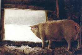 Winter-Schwein