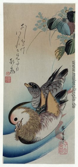 Zwei Mandarinen-Enten