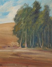 Eine Waldung der Windswept Bäume Eine Waldung der Windswept Bäume