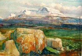 Szene aus Fljótsdalshérað in East Iceland