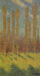 Pappeln im Frühling