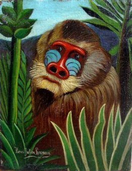 Mandrill im Dschungel