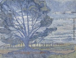 Willunga Landschaft