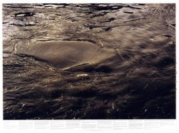 Untitled (aus der Serie Still Water (Die Themse, zum Beispiel))